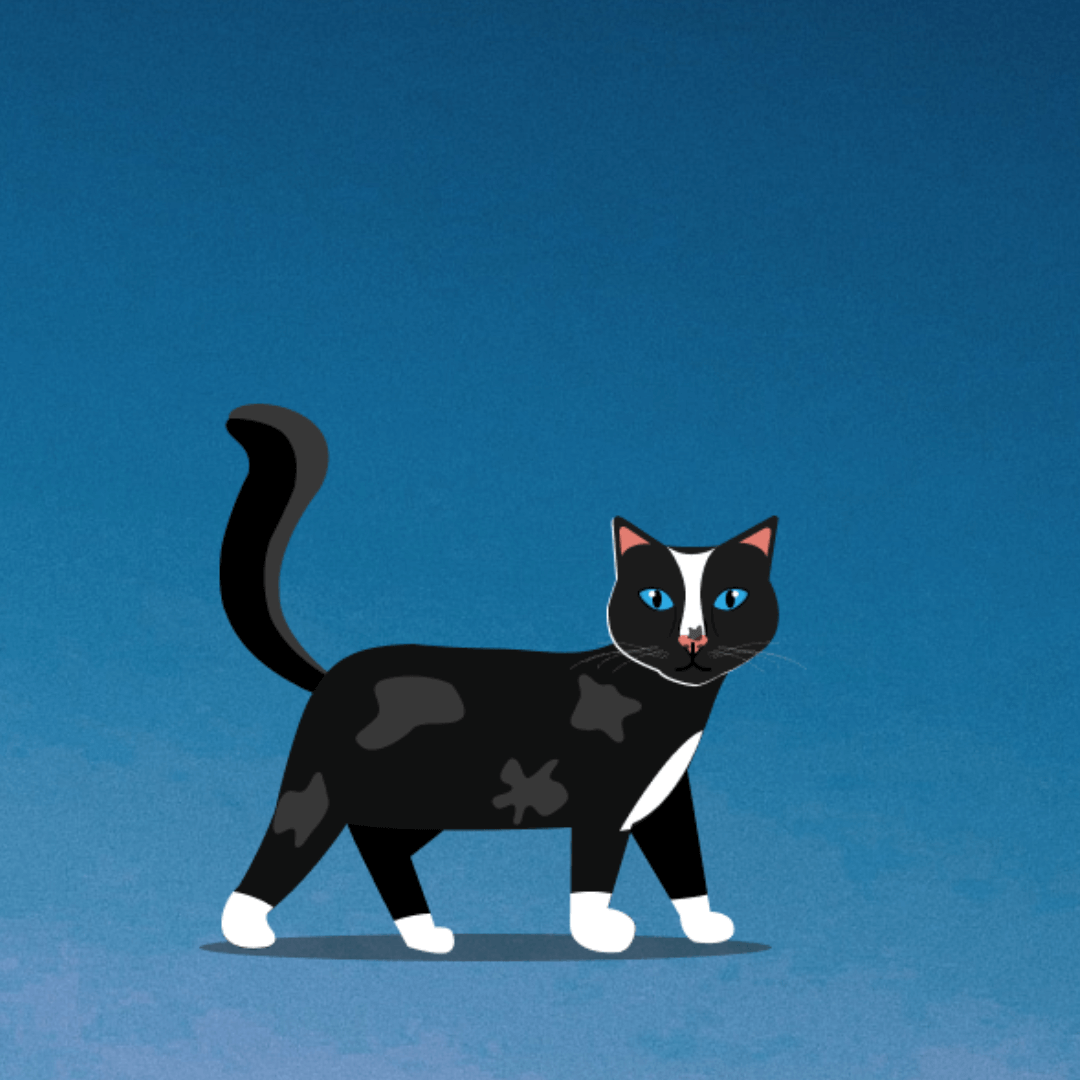 Cat Illustration